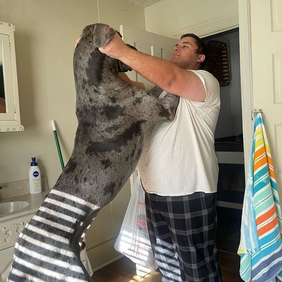 Like this listing to be notified of our lives - Picture 2 of 6